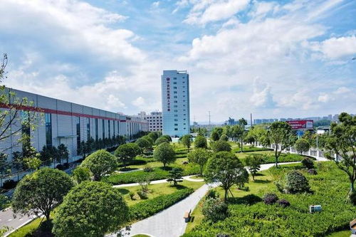 获评国家级 绿色工厂 贵阳中安有 秘籍