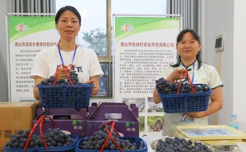 潜山油坝 小龙虾乡村音乐节圆满落幕