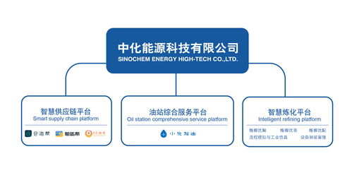 中化能源科技召开2020年工作会
